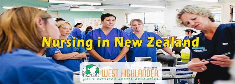 phd nursing nz