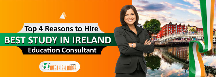 education consultant jobs northern ireland